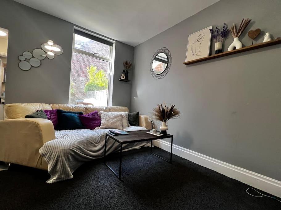 Beautiful 1 Double Bedroom Flat Sheffield Netheredge Apartment