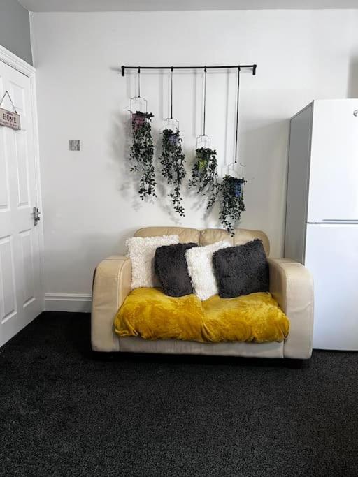 Beautiful 1 Double Bedroom Flat Sheffield Netheredge Apartment